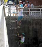 MASHers climbing up ladder