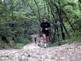 If you enjoy trail running as a form of exercise and want to get away from the megamillions and noise that is Seoul, then join the MASH for our next outing!